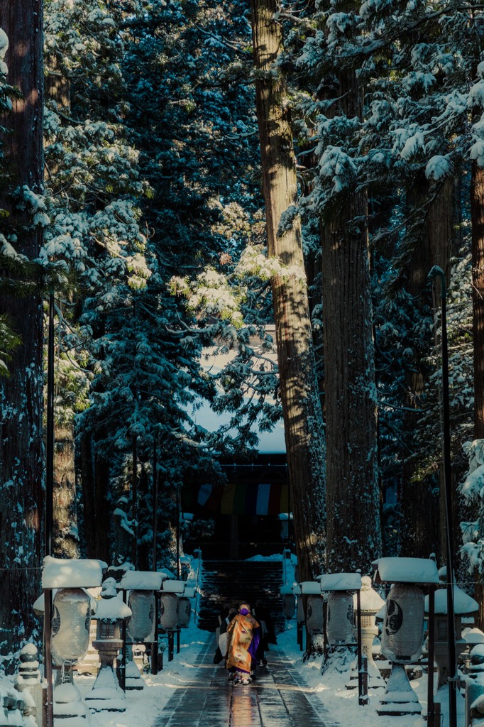 高野山　奥の院①