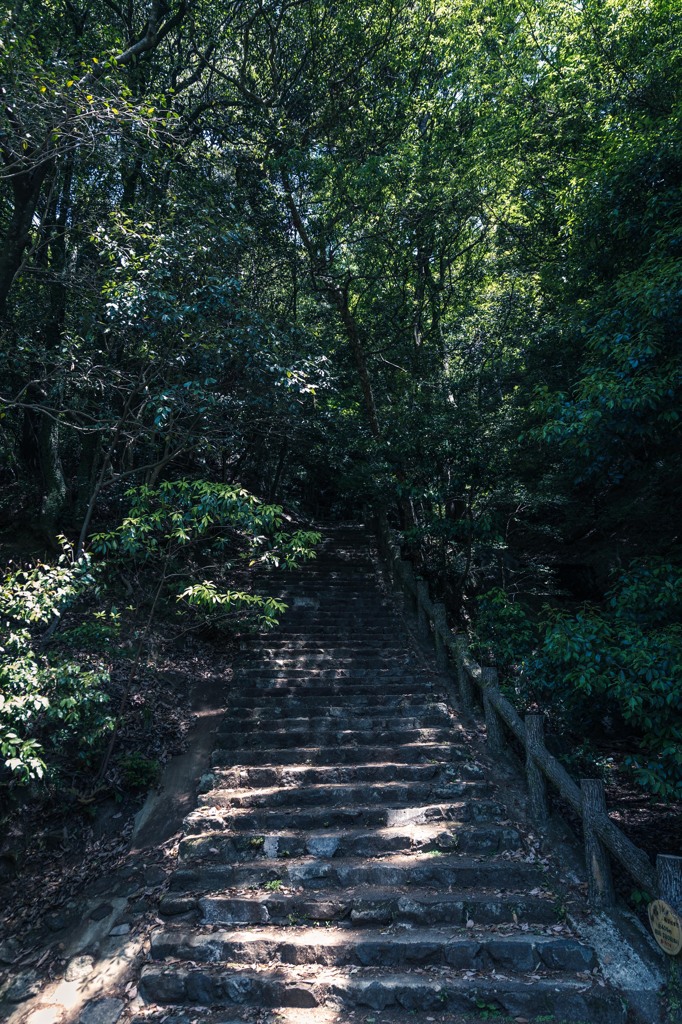 登る気のしない階段