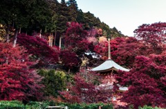 勝尾寺2014⑤