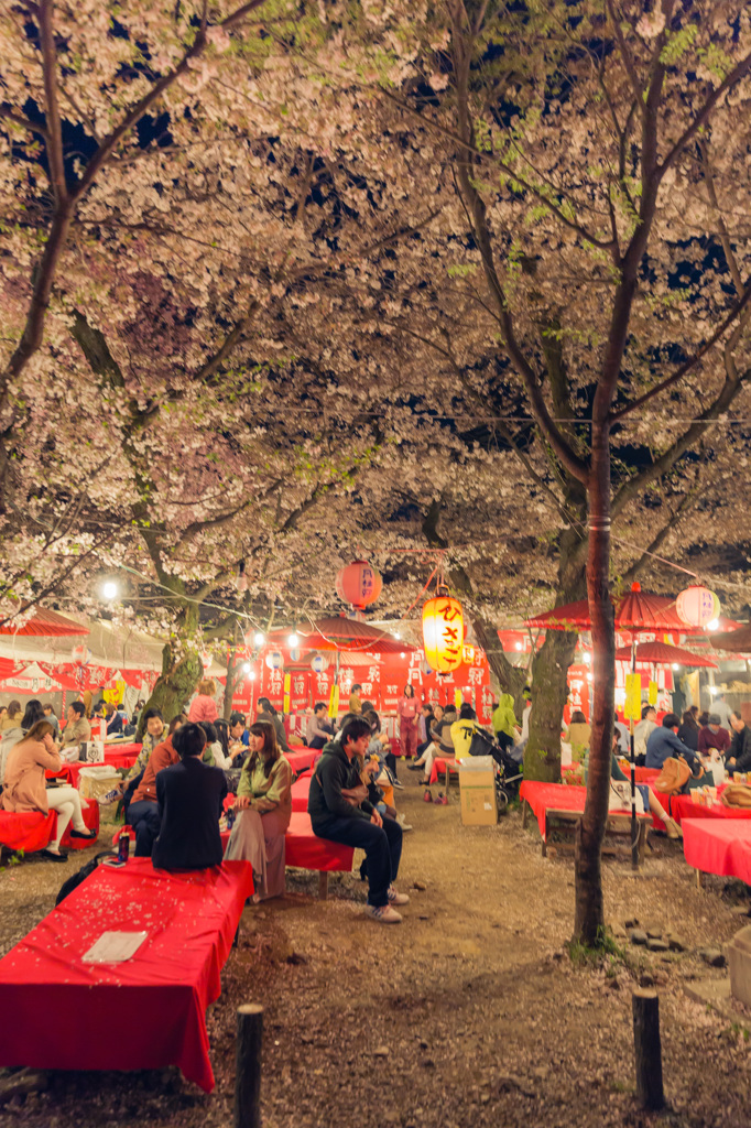 平野神社　花見