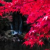 万博記念公園　もみじの滝