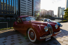 Jaguar XK120