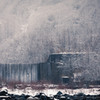 樹氷