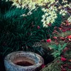 永観堂(Eikando,Kyoto)2014①