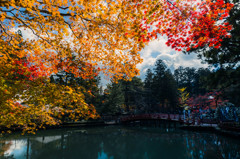 高野山　金剛峯寺　蓮池②