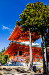 高野山　金剛峯寺②