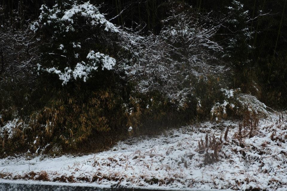 強風　大雪の朝