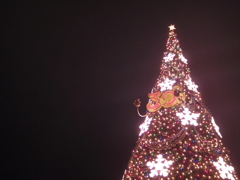 X'mas tree in TDS