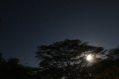 夜空