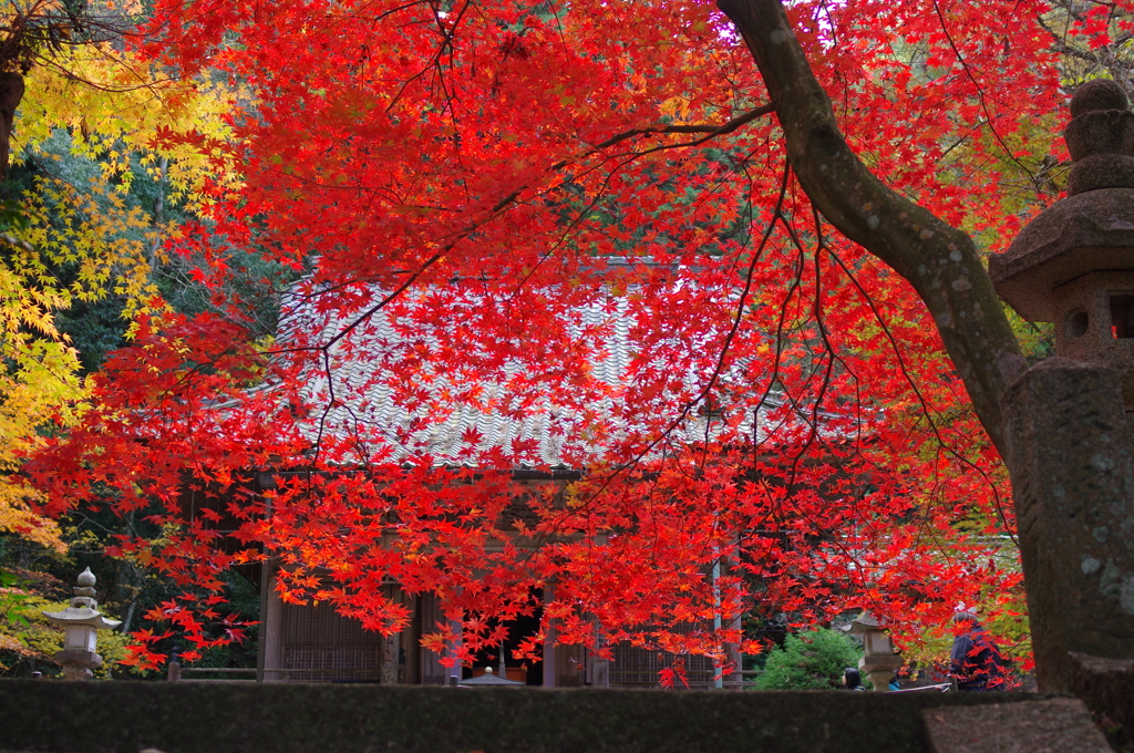 気分は秋の京都（その2）