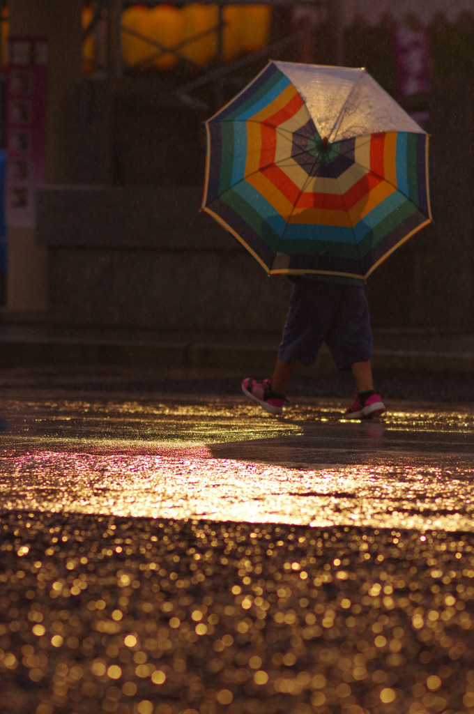 夜の虹