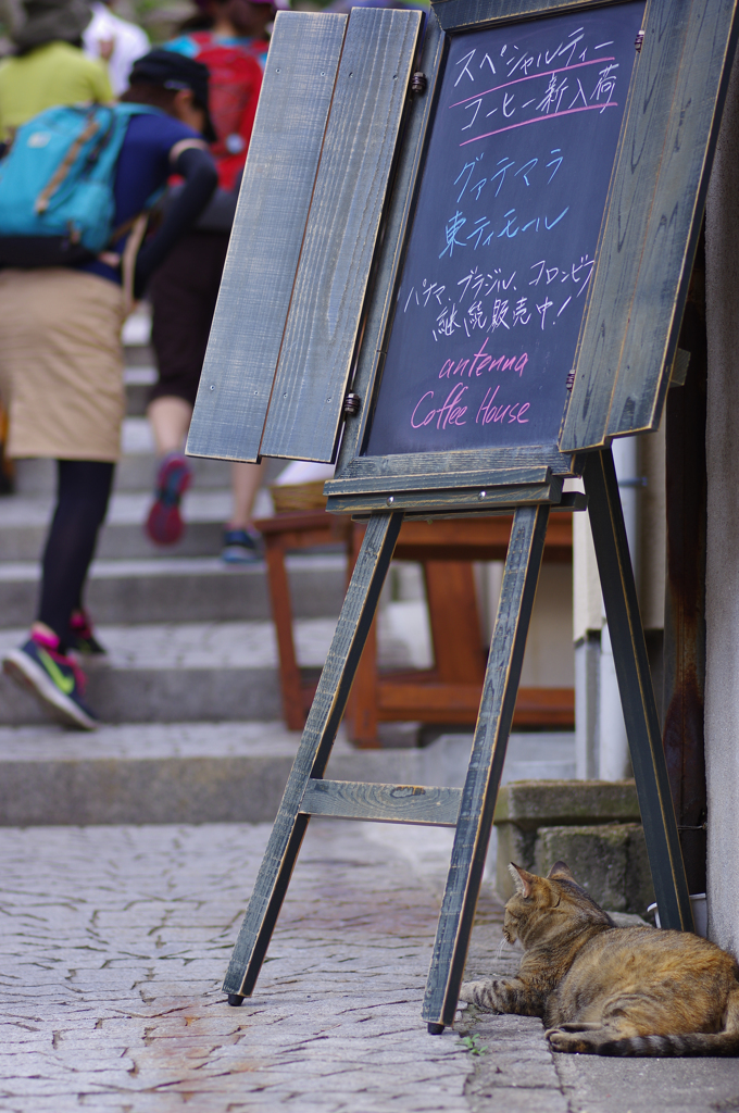 カフェ開いてるよ