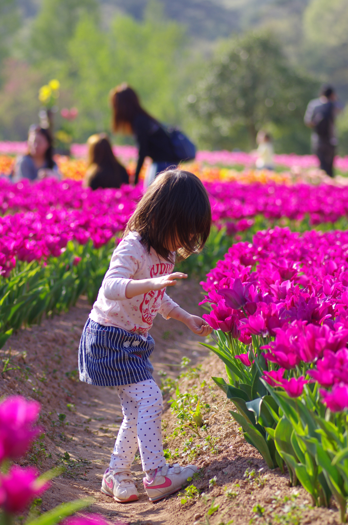 花あそび