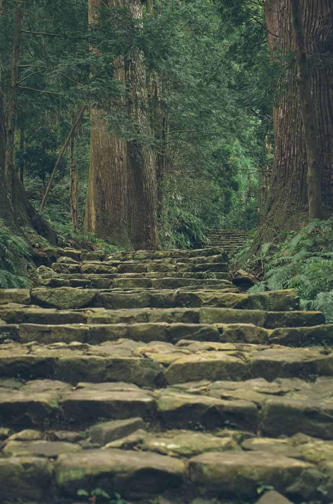 緑に包まれ、登る石段