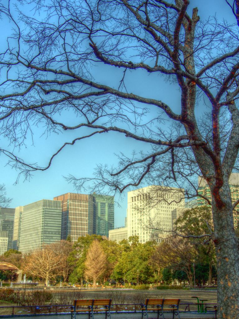 Central Park in Tokyo