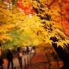 光明寺の紅葉