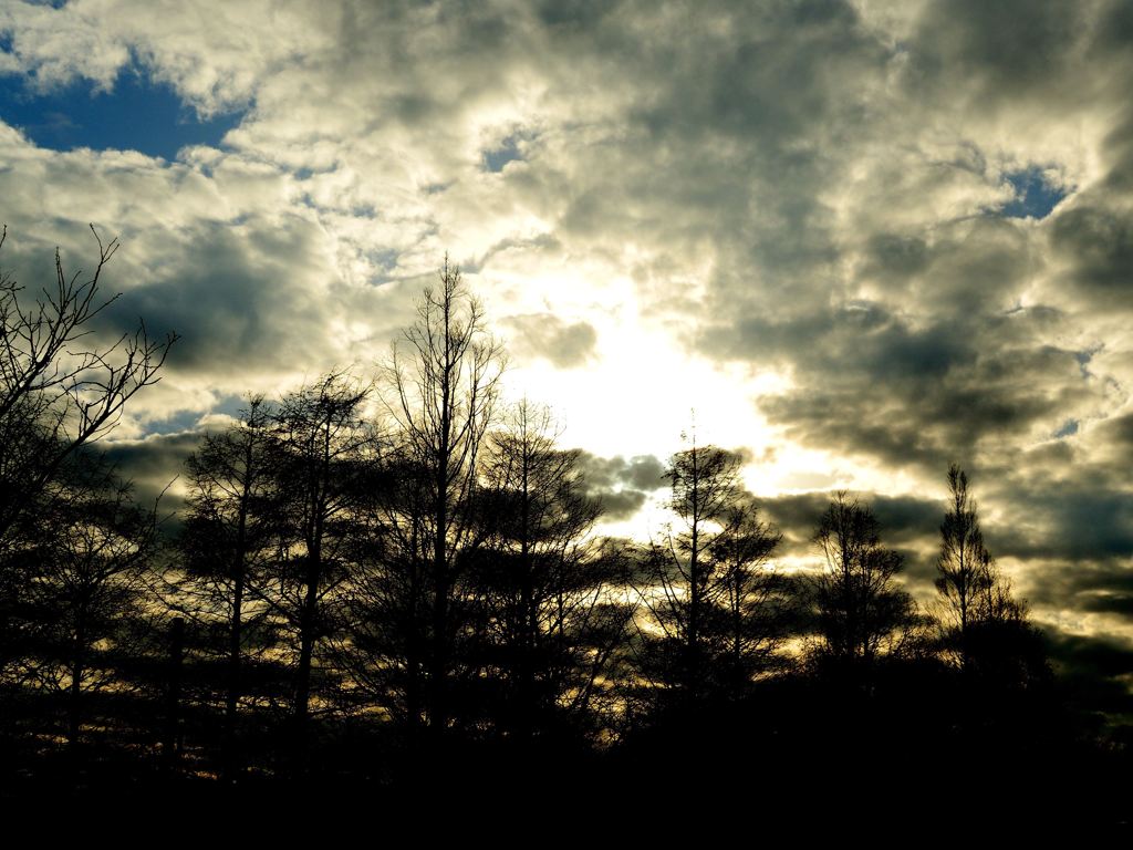 冬、公園の空