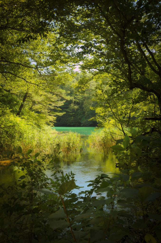 水の精霊は