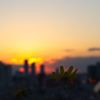 夕焼けと語る