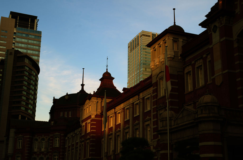 IMGP4236_sp