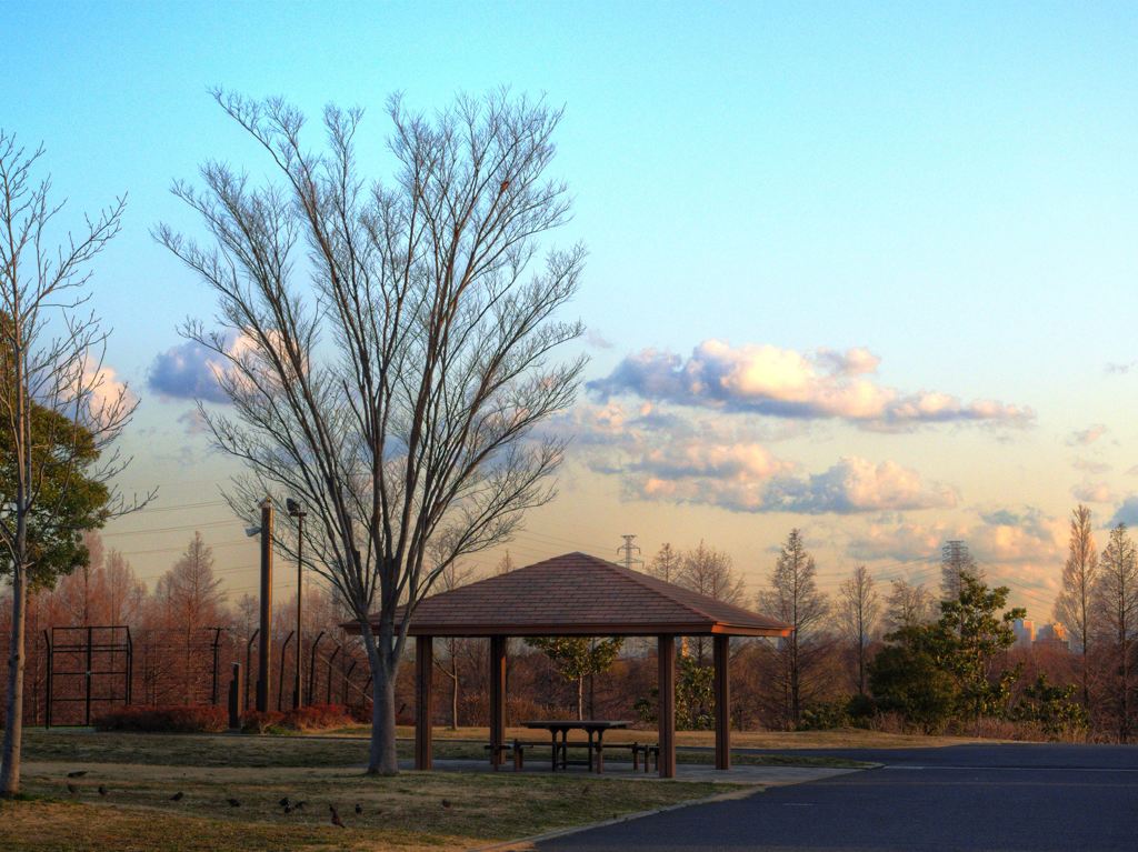 夕暮れ時、公園の雲