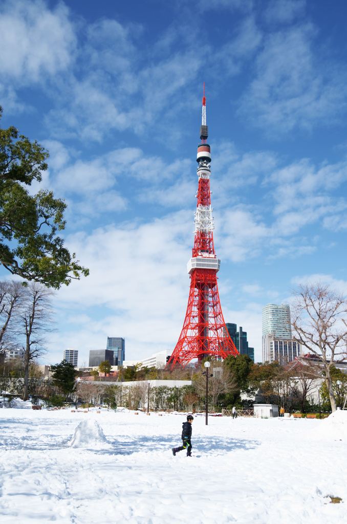 雪のある風景