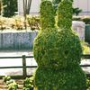 みっふぃー、だよね…？