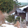 雪と空き家の庭