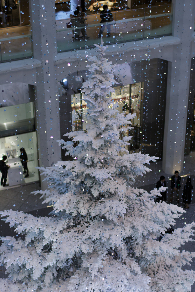 東京のホワイトクリスマス