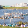 江戸川