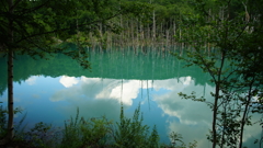 私の青い池
