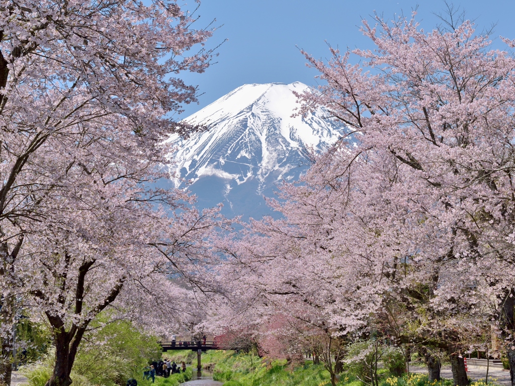 日本の絶景