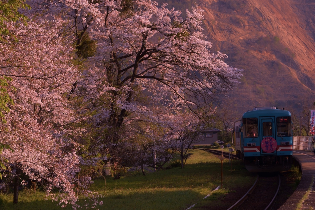 夕景～樽見鉄道