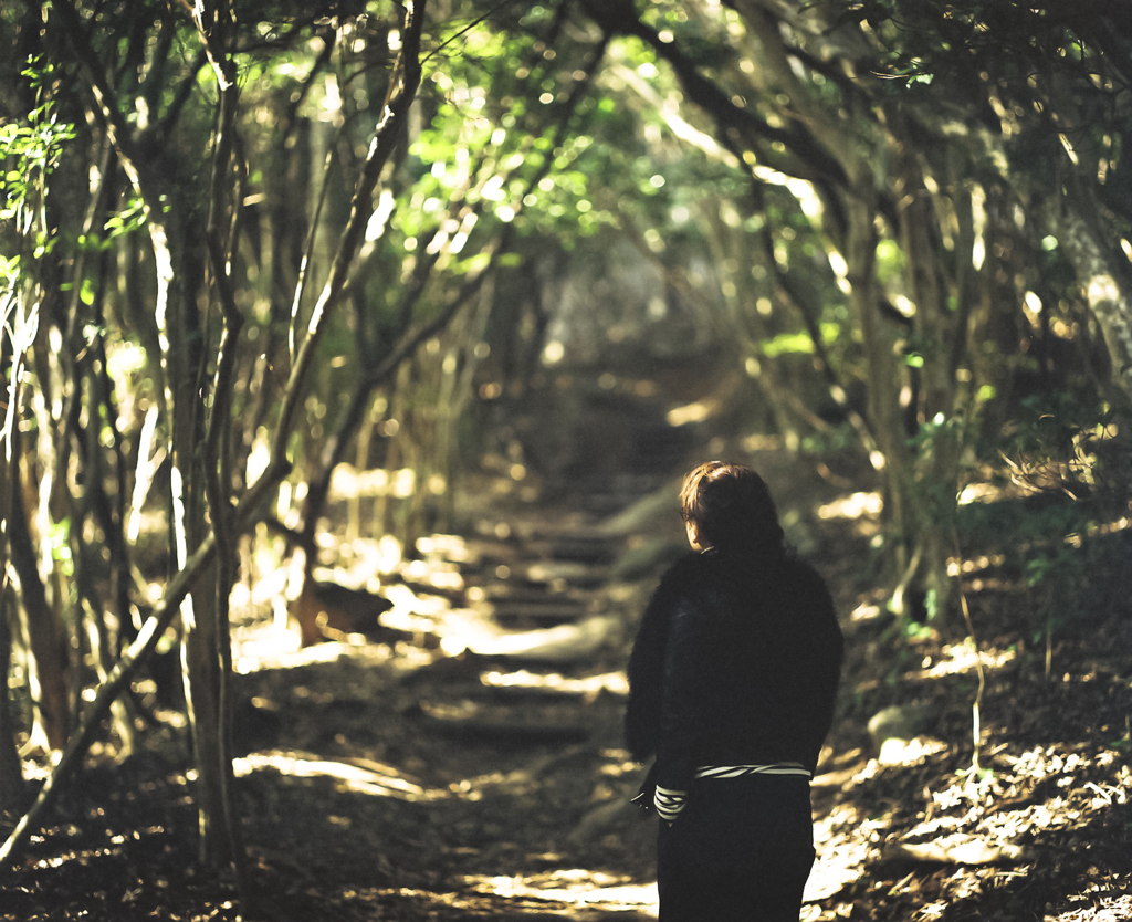 This place called　"Totoro's road"