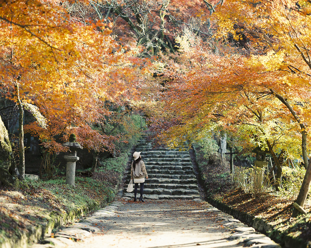 『魅せられて』