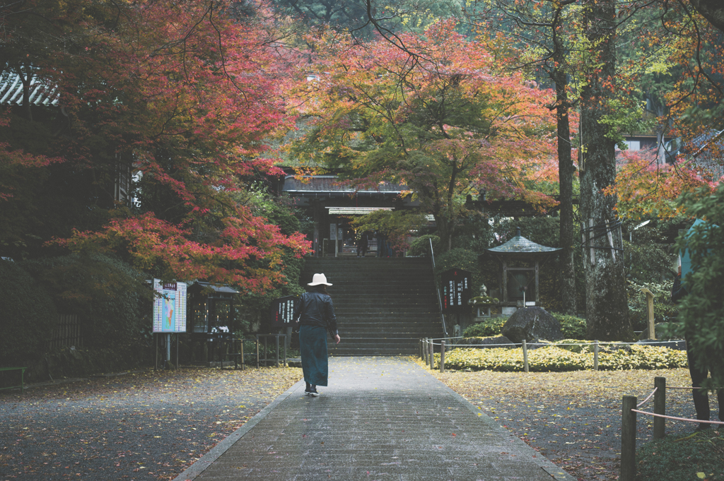 『雨トキドキ紅葉』