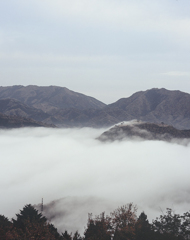 天空の城　-sea of clouds-