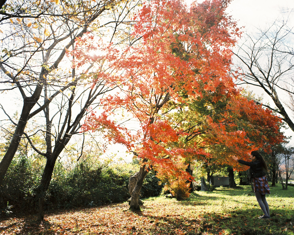 紅葉に抱かれて