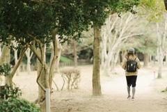 Forest stroll