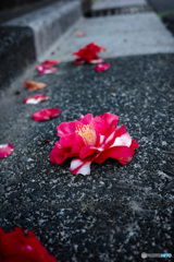 路上
