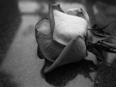 路上の花束