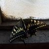 R0002639
