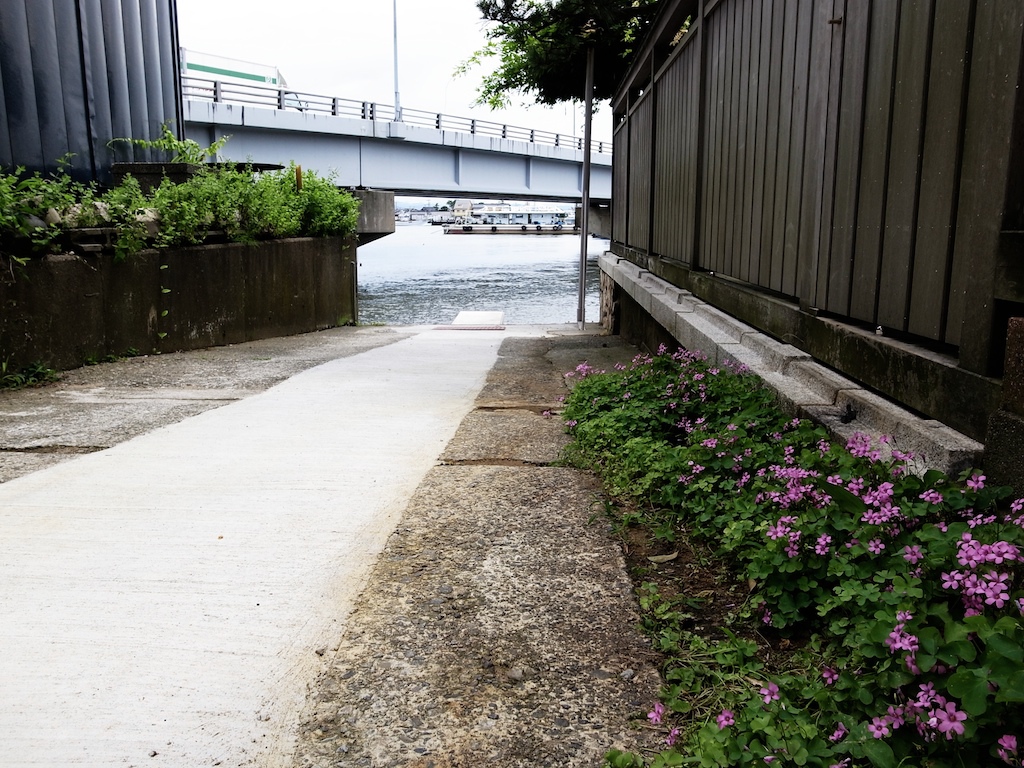道の向こう