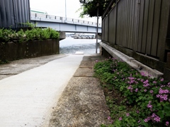 道の向こう