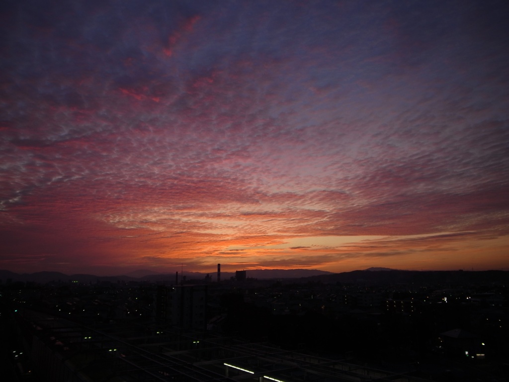 R0012239