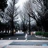 WALK