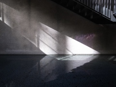 光と影と水
