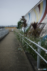 海岸
