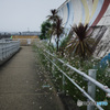 海岸