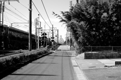 線路脇の風景